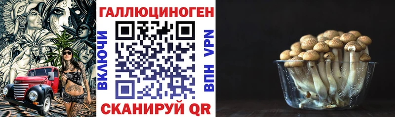 Галлюциногенные грибы Psilocybe Новая Ляля